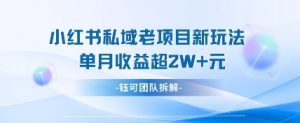 小红书私域项目新玩法,单月变现过W+-花小钱干大事