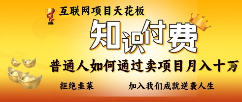 互联网项目天花板，知付付费项目，普通人如何通过卖项目月入十个，拒绝韭菜【揭秘】-花小钱干大事