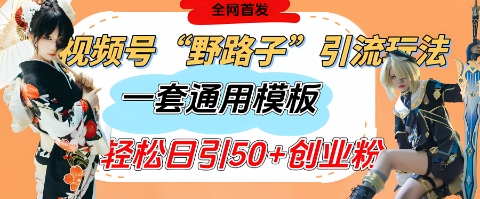 视频号“野路子”玩法，评论区疯狂截流，一套模板单日单号引流50+创业粉-花小钱干大事