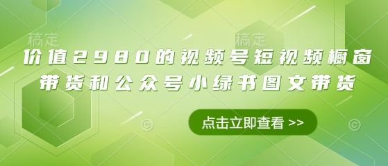 价值2980的视频号短视频橱窗带货和公众号小绿书图文带货-花小钱干大事