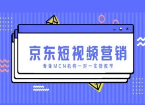 京东短视频营销项目,专业MCN机构一对一实操教学-花小钱干大事