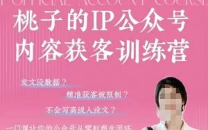 桃子IP公众号内容获客训练营(第3期),一门让你公众号从0到商业闭环的课程-花小钱干大事