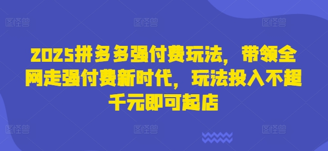 2025拼多多强付费玩法，带领全网走强付费新时代，玩法投入不超千元即可起店-花小钱干大事