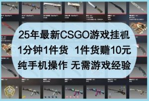 25年最新CSGO游戏挂G，1分钟1件货，1件货挣10元，纯手机操作，无需游戏经验【揭秘】-花小钱干大事