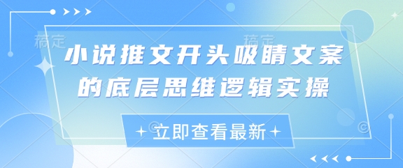 小说推文开头吸睛文案的底层思维逻辑实操-花小钱干大事