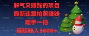 解气又挣钱的项目，最新违章拍照挣钱，随手一拍，轻松收入数张【揭秘】-花小钱干大事