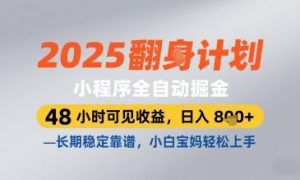 2025小程序全自动掘金,48 小时可见收益,日入8张,长期稳定靠谱,小白宝妈轻松上手【揭秘】-花小钱干大事