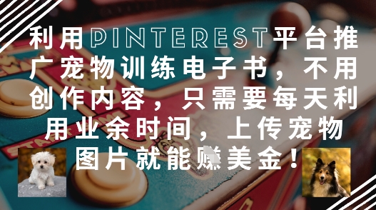利用Pinterest平台推广宠物训练电子书，不用创作内容，只需要每天利用业余时间，上传宠物图片就能挣美金!-花小钱干大事