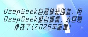 DeepSeek自媒体轻创业，用DeepSeek做自媒体，太容易挣钱了(2025年新课)-花小钱干大事