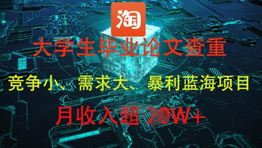 大学生毕业论文查重，暴利蓝海项目，月收入过1W+-花小钱干大事