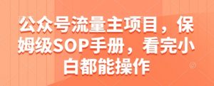 公众号流量主项目,保姆级SOP手册,看完小白都能操作-花小钱干大事