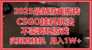 2025最新游戏搬砖,CSGO挂G,不需要玩游戏,实现真挂G,月入1W+【揭秘】-花小钱干大事