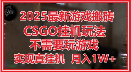 2025最新游戏搬砖，CSGO挂G，不需要玩游戏，实现真挂G，月入1W+【揭秘】-花小钱干大事