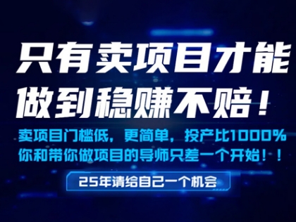 只有卖项目才能做到稳挣不赔，门槛低，更简单，你也可以年入百个W【揭秘】-花小钱干大事