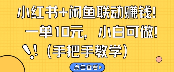小红书+闲鱼联动挣钱，一单10元，小白可做-花小钱干大事