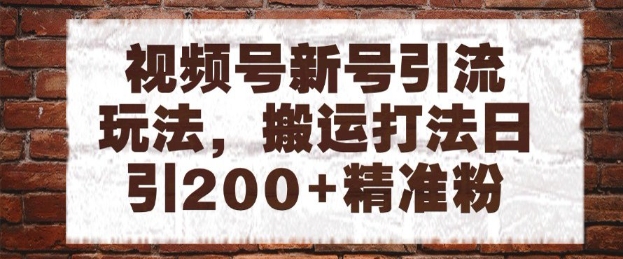 视频号新号引流玩法，搬运打法日引200+精准粉，可矩阵放大【揭秘】-花小钱干大事