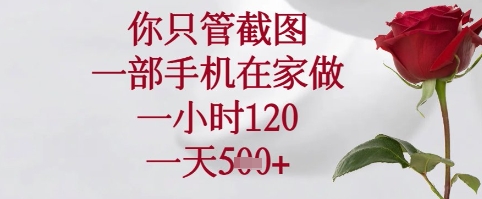 你只管截图，一部手机在家可以做，一小时120.一天5张+【揭秘】-花小钱干大事