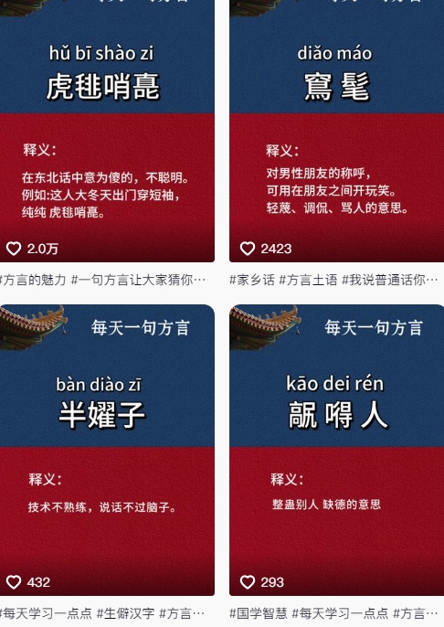 抖音最新涨粉玩法，图文方言暴力涨粉实操，126作品涨粉11W-花小钱干大事