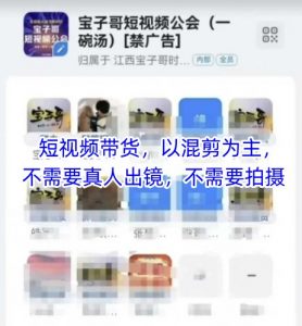 宝子哥头部团队短视频带货,以混剪为主,不需要真人出镜,不需要拍摄【更新】-花小钱干大事