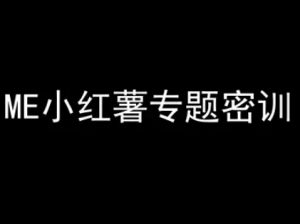 ME小红薯专题密训-小红书电商教程-花小钱干大事